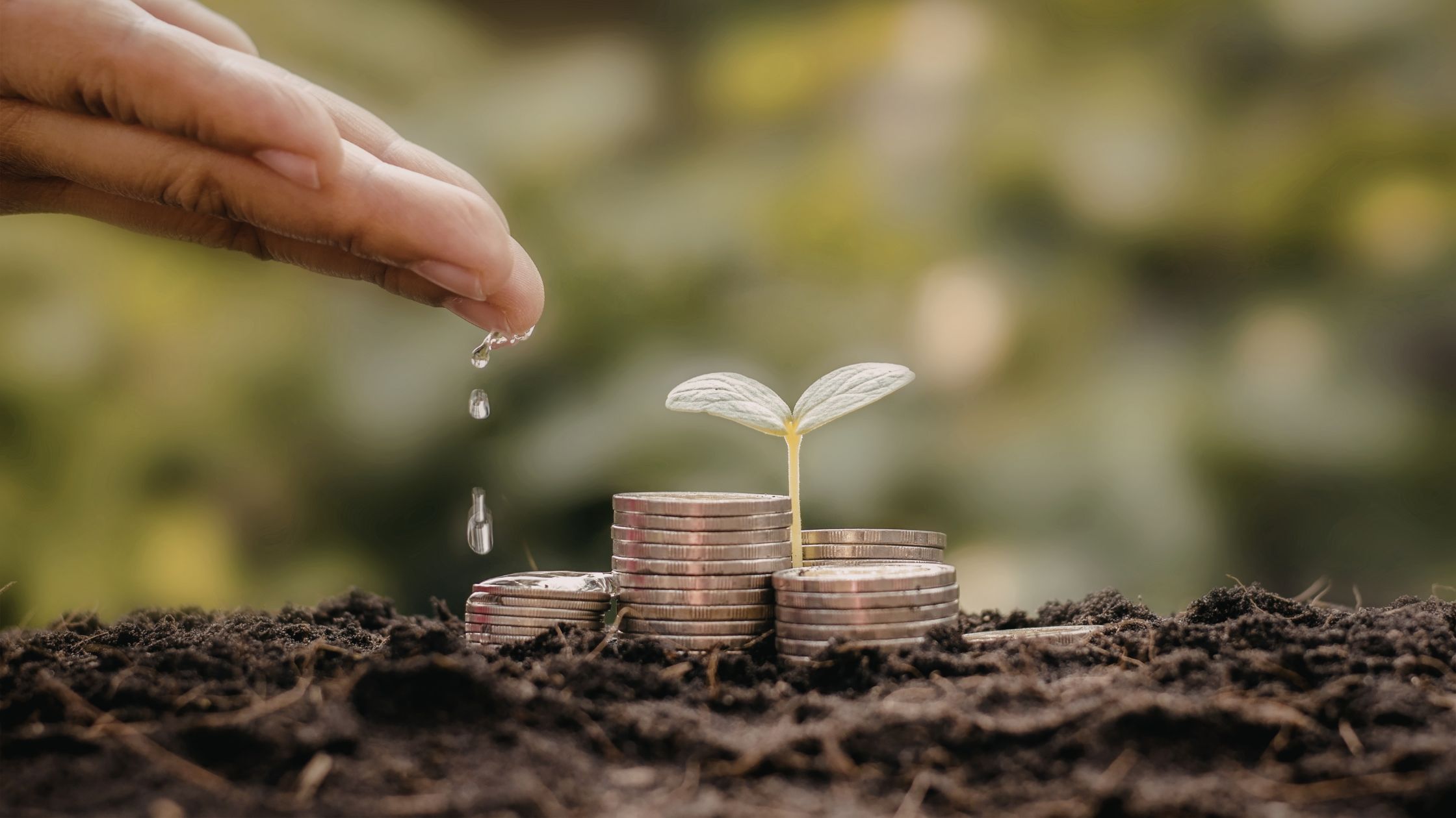 Venture Capital Funds: The Most Relevant Strategy for the Golden Visa